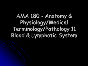 AMA 180 - Anatomy &amp; Physiology/Medical Terminology/Pathology 11 Blood &amp; Lymphatic System
