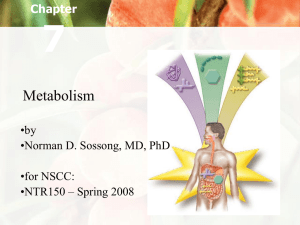 7 Metabolism Chapter •by