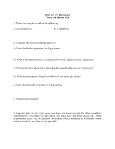 Final Review Worksheet Chem 103, Winter 2006
