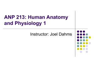ANP 213: Human Anatomy and Physiology 1 Instructor: Joel Dahms