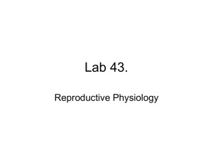 Lab 43. Reproductive Physiology
