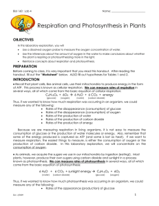 Respiration and Photosynthesis in Plants  OBJECTIVES