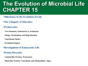 The Evolution of Microbial Life CHAPTER 15 •
