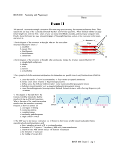 Exam II BIOS 160    Anatomy and Physiology Name