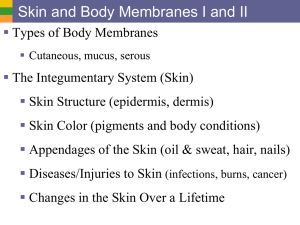 Skin and Body Membranes I and II