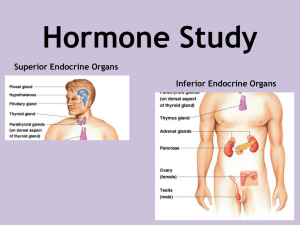 Hormone Study Superior Endocrine Organs Inferior Endocrine Organs