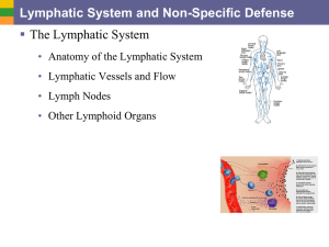 Lymphatic System and Non-Specific Defense  The Lymphatic System •
