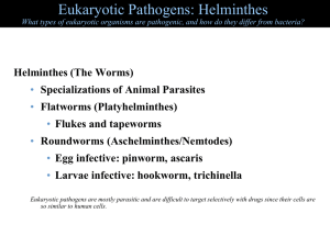 Eukaryotic Pathogens: Helminthes
