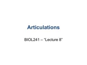 Articulations – “Lecture 8” BIOL241