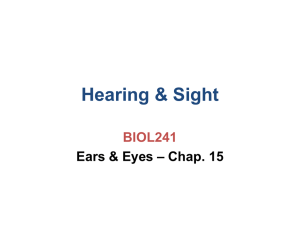 Hearing &amp; Sight BIOL241 – Chap. 15 Ears &amp; Eyes