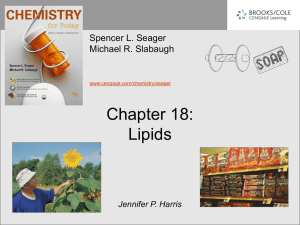 Chapter 18: Lipids Spencer L. Seager Michael R. Slabaugh