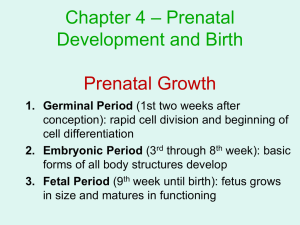 – Prenatal Chapter 4 Development and Birth Prenatal Growth