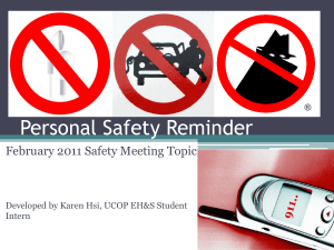 Personal Safety Reminder February 2011 Safety Meeting Topic Intern