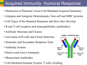 Acquired Immunity: Humoral Response