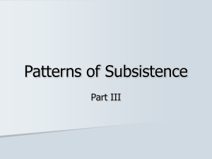Patterns of Subsistence Part III