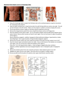 Abdominal Pelvic Regions Lesson w/ Anatomage Table: