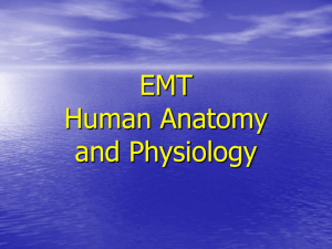 EMT Human Anatomy and Physiology