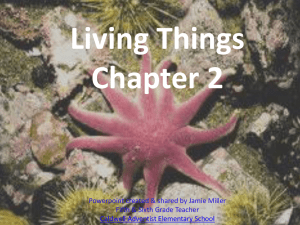 Living Things Chapter 2 Powerpoint created &amp; shared by Jamie Miller