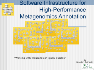 Software Infrastructure for High-Performance Metagenomics Annotation “Working with thousands of jigsaw puzzles&#34;