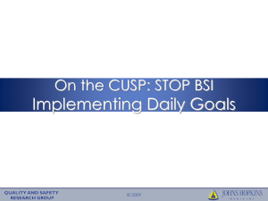 Implementing Daily Goals On the CUSP: STOP BSI © 2009
