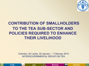 CONTRIBUTION OF SMALLHOLDERS TO THE TEA SUB-SECTOR AND POLICIES REQUIRED TO ENHANCE