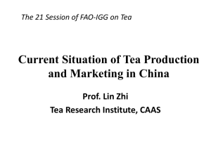 Current Situation of Tea Production and Marketing in China Prof. Lin Zhi