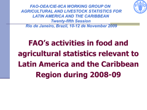 FAO-OEA/CIE-IICA WORKING GROUP ON AGRICULTURAL AND LIVESTOCK STATISTICS FOR