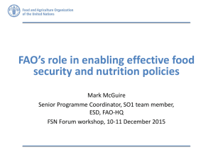 FAO’s role in enabling effective food security and nutrition policies