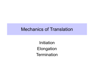 Mechanics of Translation Initiation Elongation Termination