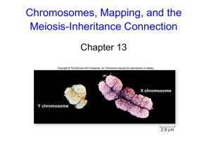 Chromosomes, Mapping, and the Meiosis-Inheritance Connection Chapter 13