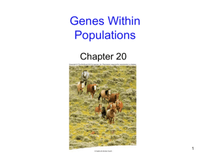 Genes Within Populations Chapter 20 1