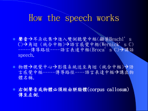 How the speech works