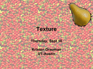 Texture Thursday, Sept 18 Kristen Grauman UT-Austin