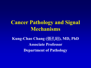 Cancer Pathology and Signal Mechanisms Kung-Chao Chang ( Associate Professor