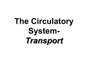 The Circulatory System- Transport