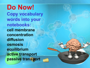 Do Now! Copy vocabulary words into your notebooks: