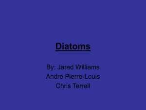 Diatoms By: Jared Williams Andre Pierre-Louis Chris Terrell