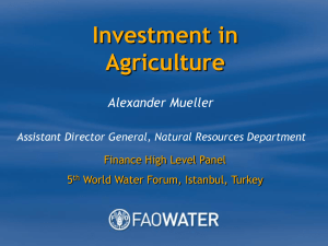 Investment in Agriculture Alexander Mueller Assistant Director General, Natural Resources Department