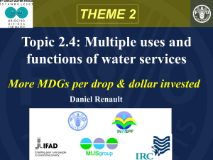 Topic 2.4: Multiple uses and functions of water services THEME 2