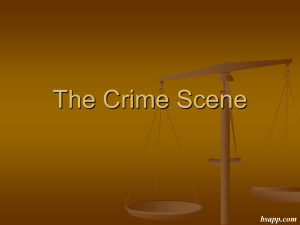 The Crime Scene bsapp.com