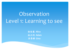 Observation Level 1: Learning to see Alice Adam