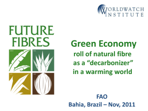 Green Economy roll of natural fibre as a “decarbonizer” in a warming world
