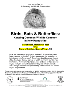 Birds, Bats &amp; Butterflies: Keeping Common Wildlife Common in New Hampshire