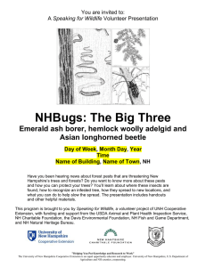 NHBugs: The Big Three Emerald ash borer, hemlock woolly adelgid and