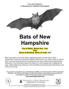 Bats of New Hampshire You are invited to: