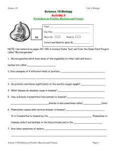 10 Science 10-Biology Activity 9 Worksheet on Protists, Bacteria and Viruses