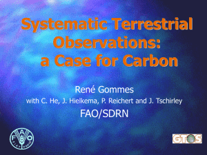 Systematic Terrestrial Observations: a Case for Carbon FAO/SDRN