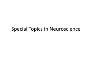 Special Topics in Neuroscience