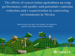 The effects of conservation agriculture on crop