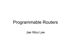Programmable Routers Jae Woo Lee